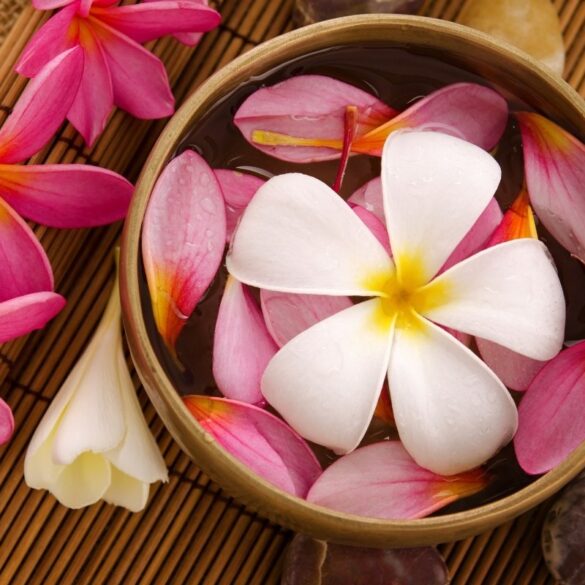 flowers in bowl at a tropical spa retreat