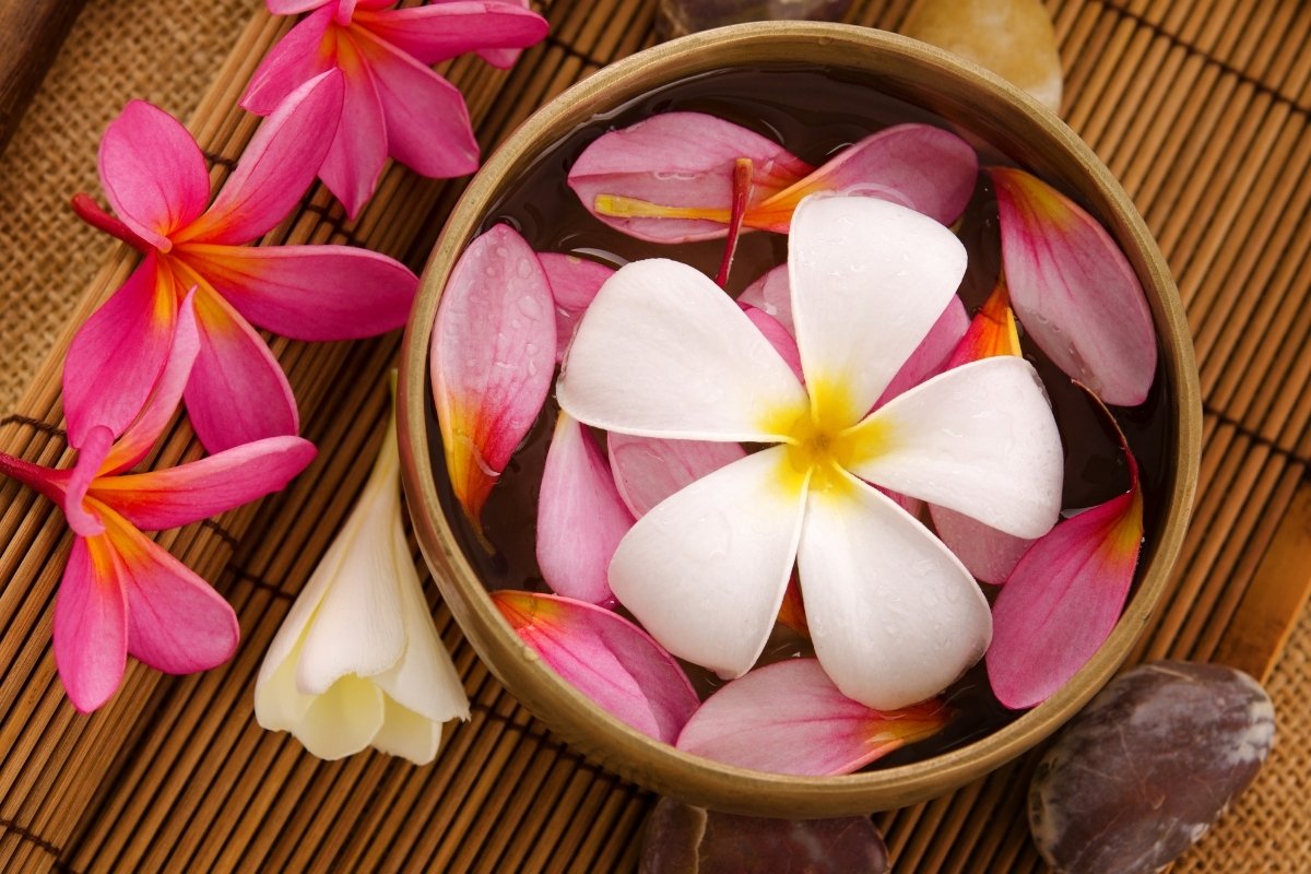 flowers in bowl at a tropical spa retreat